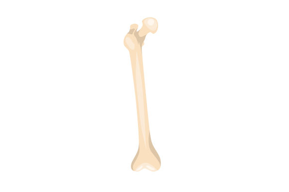 A Designer's Take on the Femur Embroidery Design