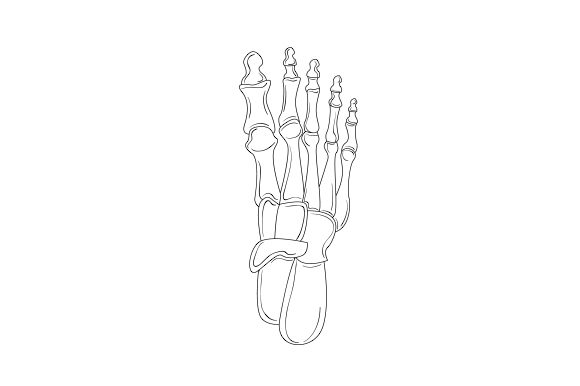 The Skeletal Foot Embroidery Design: A Practical Review